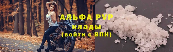 индика Алексеевка
