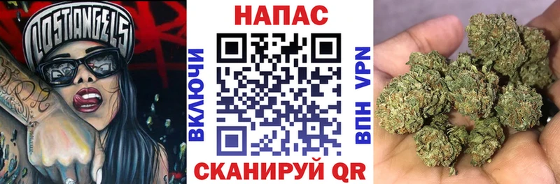 цена   Одинцово  Конопля ГИДРОПОН 
